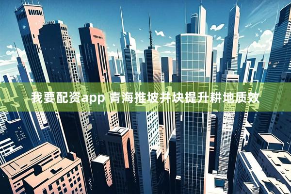 我要配资app 青海推坡并块提升耕地质效