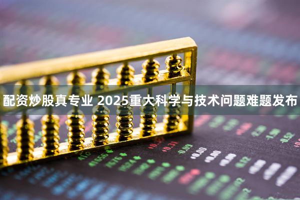 配资炒股真专业 2025重大科学与技术问题难题发布