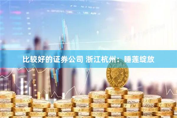 比较好的证券公司 浙江杭州：睡莲绽放